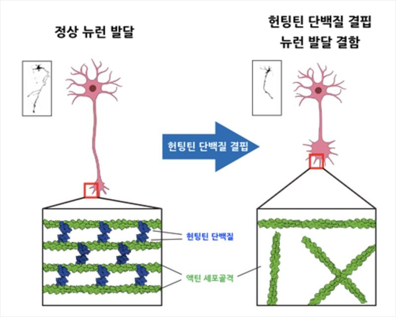 첨부파일