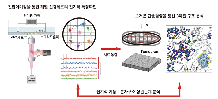 전압
