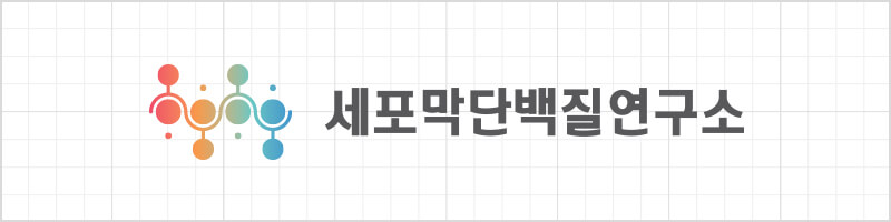 국문 좌우조합