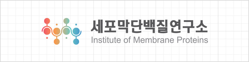 국영문 좌우조합